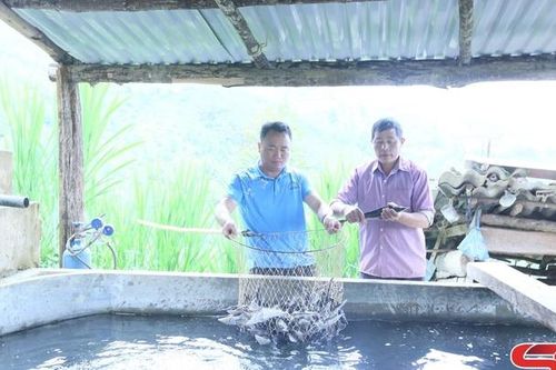 Trang trại nuôi cá tầm trên núi cao