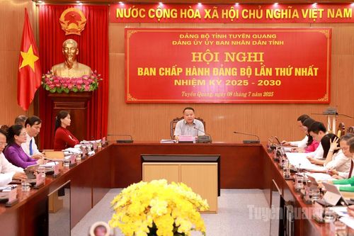 Hội nghị Ban Chấp hành Đảng bộ UBND tỉnh lần thứ nhất, nhiệm kỳ 2025 - 2030
