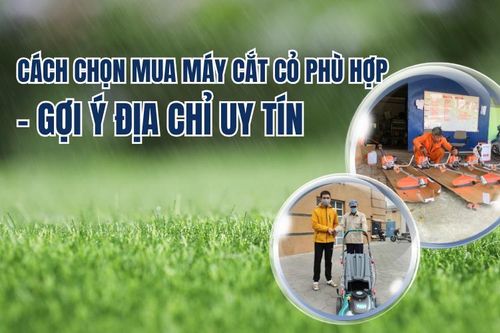Cách chọn mua máy cắt cỏ phù hợp - Địa chỉ uy tín