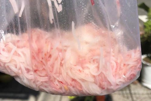 Dân phản ánh bún tự đổi màu, cơ quan chức năng Đà Nẵng vào cuộc