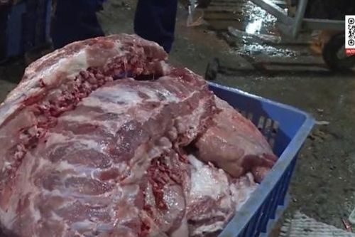 Công an TP Hà Nội triệt phá đường dây giết mổ, tiêu thụ thịt lợn bệnh ra thị trường
