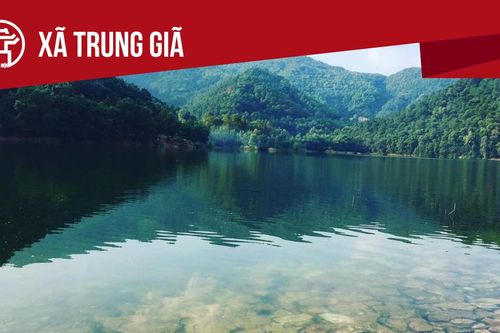 Xã Trung Giã: Tất cả thông tin chỉ dẫn bạn cần biết
