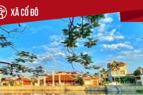 Xã Cổ Đô: Tất cả thông tin chỉ dẫn bạn cần biết