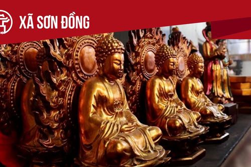 Xã Sơn Đồng: Tất cả thông tin chỉ dẫn bạn cần biết