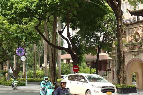 Phường Cửa Nam: Địa bàn nhỏ, tiềm năng lớn