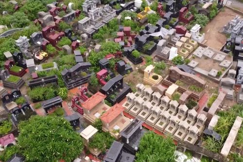 Thành phố chỉ đạo xử lý dứt điểm vi phạm đất đai