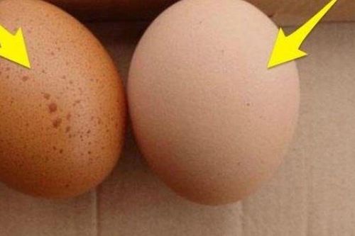 Trứng có dấu hiệu này cần bỏ gấp, tuyệt đối không nên ăn