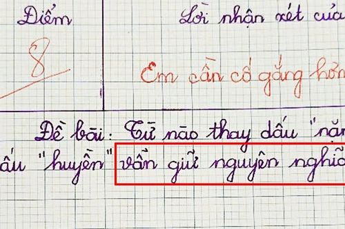 Từ nào trong Tiếng Việt thay dấu nặng bằng dấu huyền vẫn giữ nguyên nghĩa?