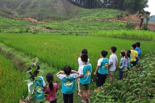 Trại hè bị chê như 'học kỳ đi đày', nhiều phụ huynh vội quay xe
