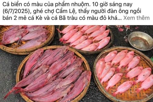 Người dân Đà Nẵng nghi ngờ cá bị nhuộm phẩm, tiểu thương nói rửa bằng nước ngọt