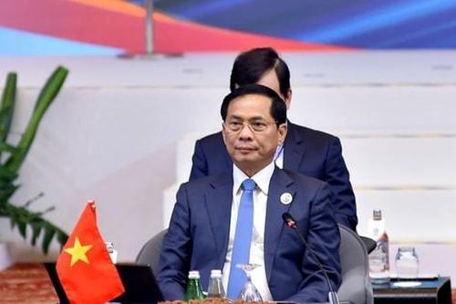 Việt Nam đề cao vai trò Hiệp ước Khu vực Đông Nam Á không có vũ khí hạt nhân