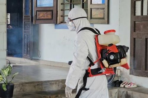 Thêm bệnh nhân ở Huế mắc liên cầu lợn nguy kịch, yếu tố nguy cơ gây nhiễm bệnh là gì?