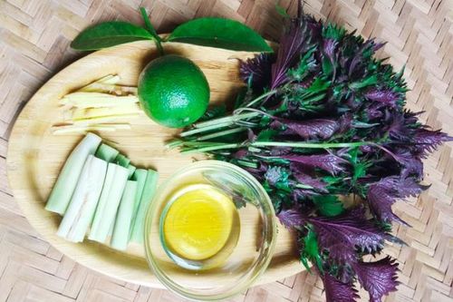 Uống nước lá tía tô với chanh, sả, gừng có tác dụng gì?