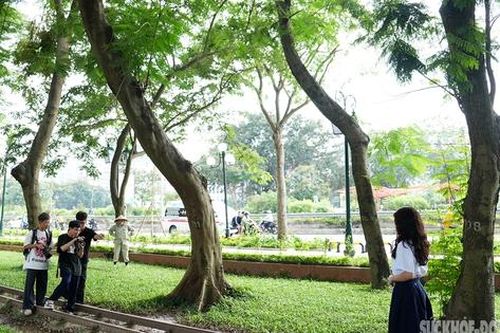 Công viên Thống Nhất 'biến hình' sau khi hạ rào