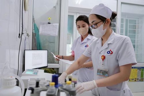 Ký sinh trùng từ thú cưng, nguy cơ tiềm ẩn khiến hàng trăm trẻ mắc bệnh