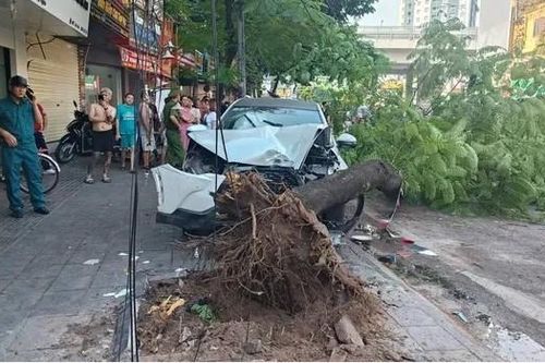 Một nữ nạn nhân trong vụ bị 'xe điên' húc trên phố Trần Đại Nghĩa đã tử vong
