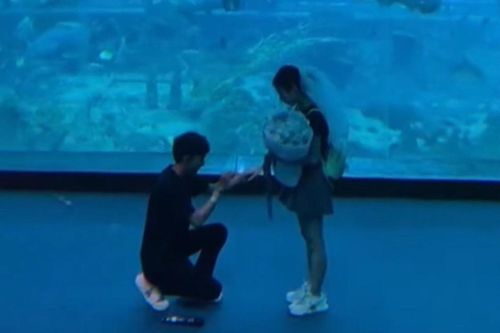 Nam kỹ sư cầu hôn ở thủy cung vì bạn gái tên là Thủy