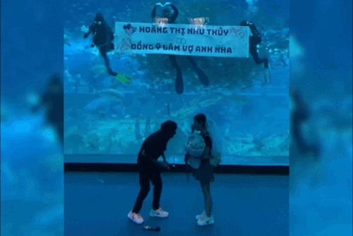 Thấy cầu hôn ở thủy cung Phú Quốc, cô gái tưởng ai hóa ra là mình