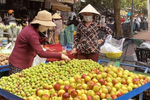 Đào mận Trung Quốc núp bóng nông sản Việt Nam