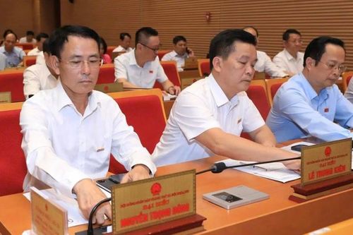 HĐND Thành phố Hà Nội thông qua chính sách hỗ trợ khôi phục sản xuất vùng bị thiệt hại do thiên tai, dịch hại thực vật