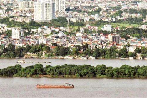 Xử lý triệt để vi phạm pháp luật về đê điều