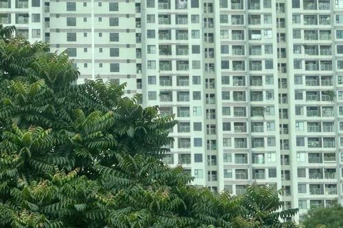 Nhìn nhận nhà ở như một phần của hạ tầng quốc gia trong giải quyết bài toán nhà ở