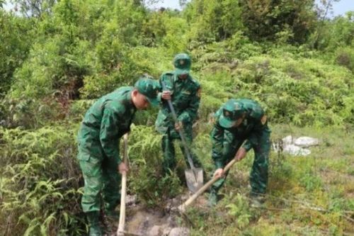 Tuyên Quang có tỷ lệ che phủ rừng đứng thứ 3 cả nước