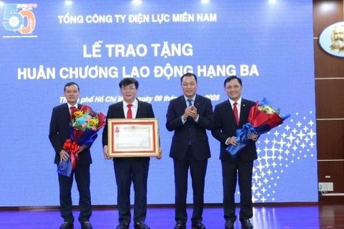 Ngành điện miền nam đón nhận Huân chương Lao động hạng Ba