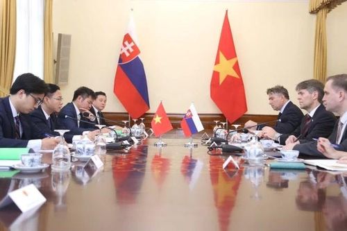 Tham vấn chính trị Việt Nam-Slovakia