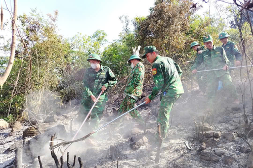 Nghệ An: Nhanh chóng khống chế, dập tắt đám cháy rừng