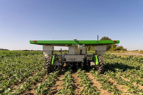 Robot năng lượng mặt trời thay nông dân nhổ cỏ