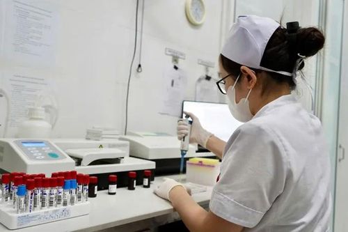 Gần 900 trẻ Nghệ An nhiễm giun, sán chó mèo