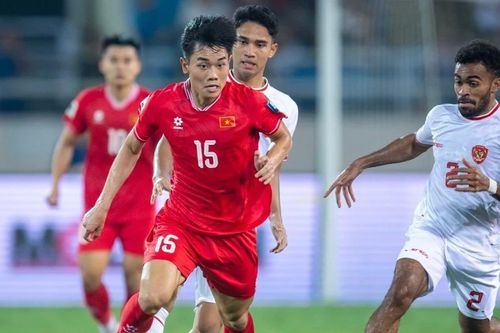 Bóng đá Việt Nam: Nhập tịch hay không?