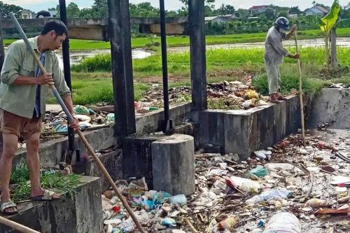 Gần 100 xác lợn chết bị vứt xuống kênh thủy lợi ở Thanh Hóa