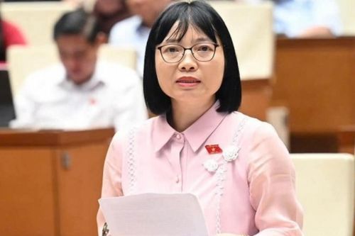ĐBQH. Nguyễn Thị Việt Nga: Sáp nhập đơn vị hành chính cấp tỉnh – bước đi chiến lược thể hiện tầm nhìn cải cách