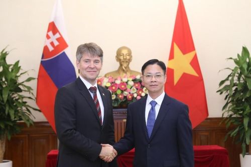 Tăng cường phối hợp hành động giữa Bộ Ngoại giao Việt Nam và Slovakia