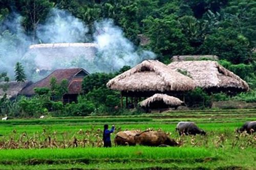 Về nghe lửa ấm nồng nàn...