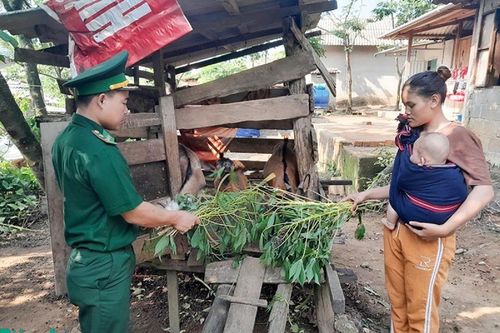 Xanh ngời La Lay