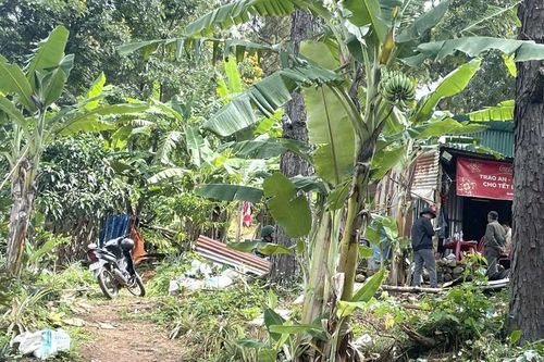 Vụ bé gái 2 tuổi mất tích bí ẩn ở Lâm Đồng: Huy động gần 100 người tìm kiếm