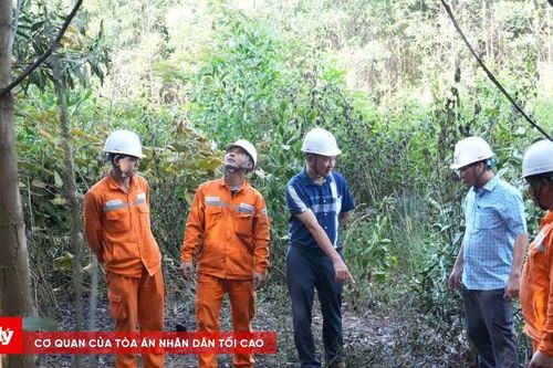 Người dân chặt cây keo gây đứt đường dây 110kV Nông Cống – Nghi Sơn