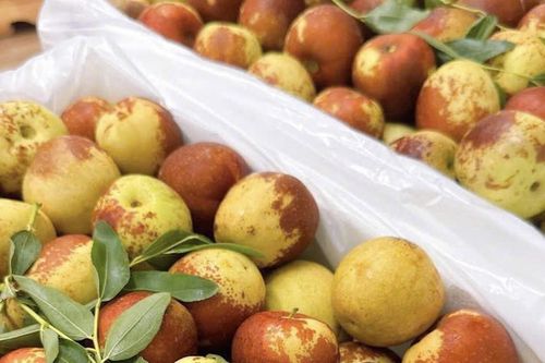 Chợ Việt 'ngập' hoa quả Trung Quốc, 6 tháng chi hơn 400 triệu USD nhập về bán