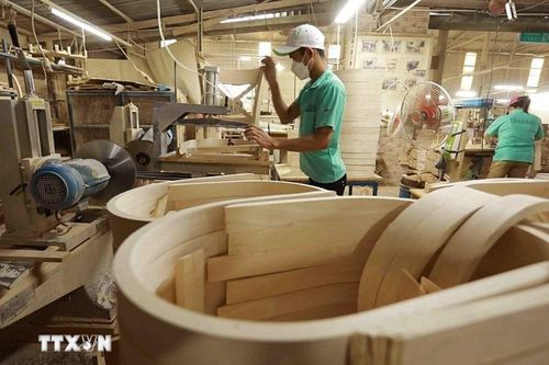 Công bố 919 loài gỗ đã nhập khẩu vào Việt Nam với nhiều loài gỗ mới
