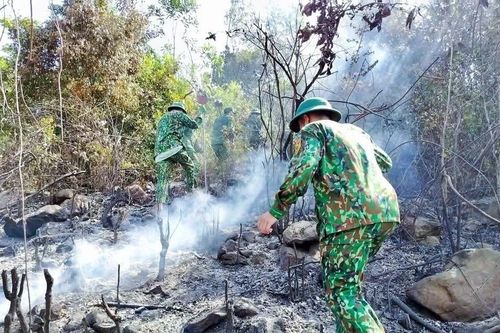Nghệ An: Kịp thời khống chế, dập tắt vụ cháy rừng