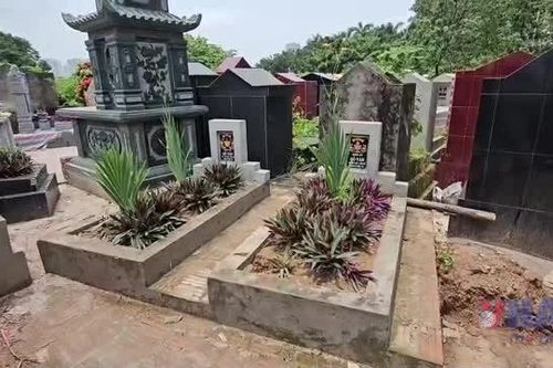 Hà Nội: Cận cảnh hàng chục ngôi mộ 'giả' trong nghĩa trang phường Đại Mỗ