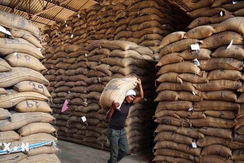 Thị trường nông sản thế giới: Giá gạo lao dốc, càphê giữ đỉnh