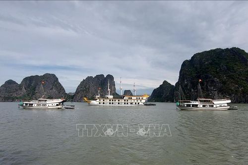 'Làm sạch' môi trường kinh doanh du lịch