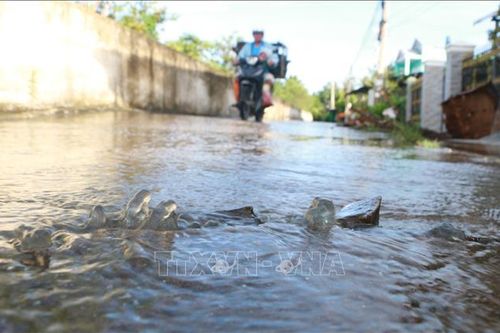 Đề phòng triều cường khu vực ven biển Đông Nam Bộ