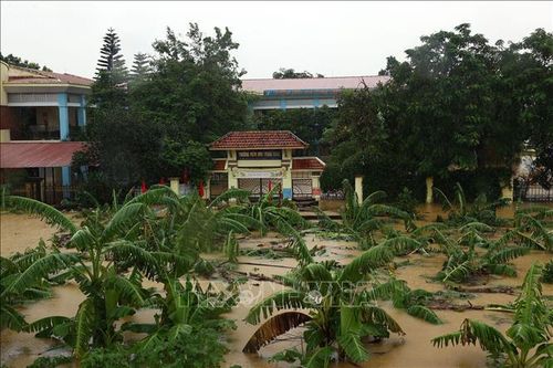 Hà Nội: Chủ động phòng ngừa, ứng phó với thiên tai