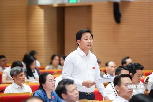 40% thịt tiêu thụ chưa kiểm soát rõ, Hà Nội đặt lộ trình xóa bỏ giết mổ nhỏ lẻ
