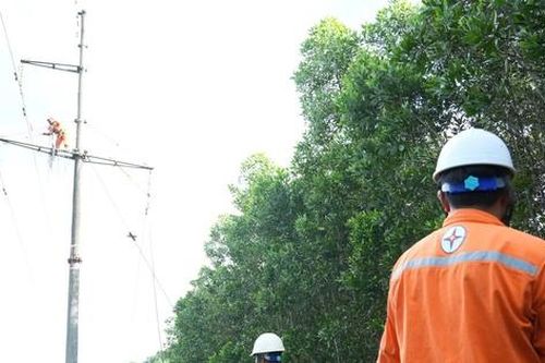 Công an vào cuộc vụ người dân chặt keo làm đứt đường dây điện 110KV
